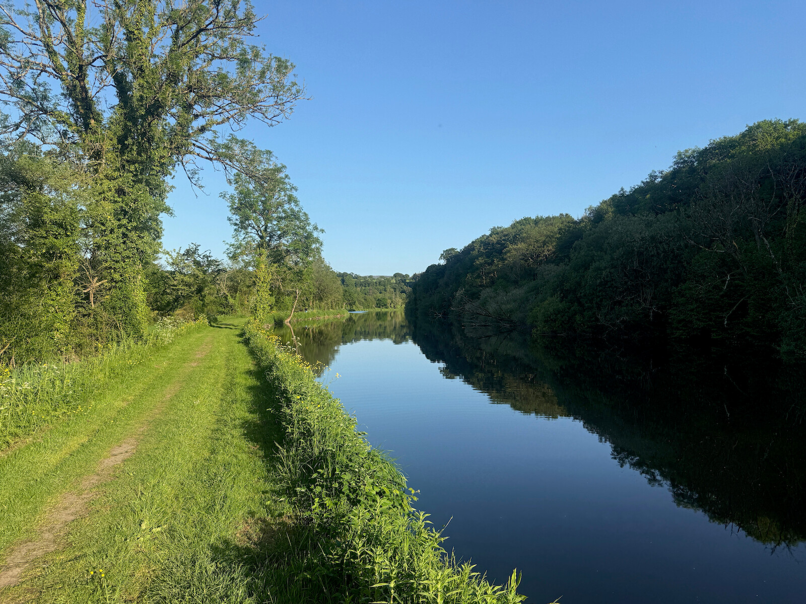 River reflections