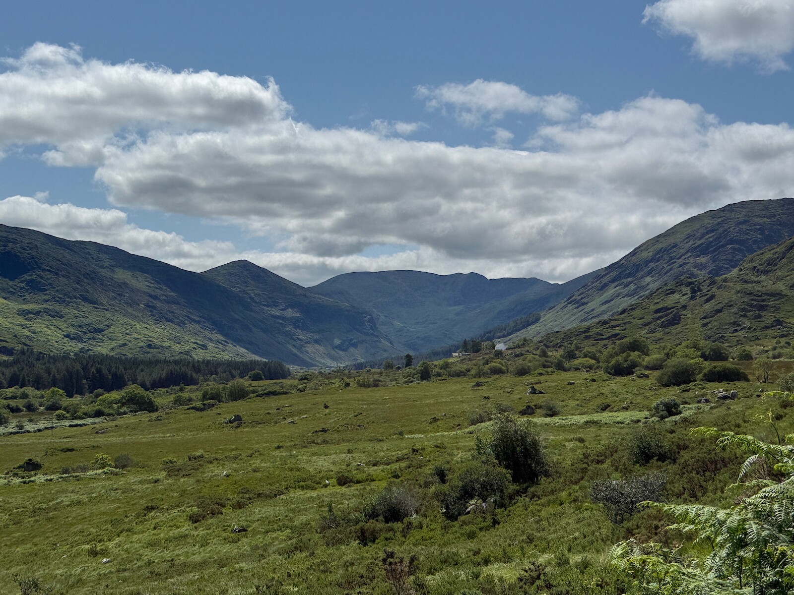 The valley