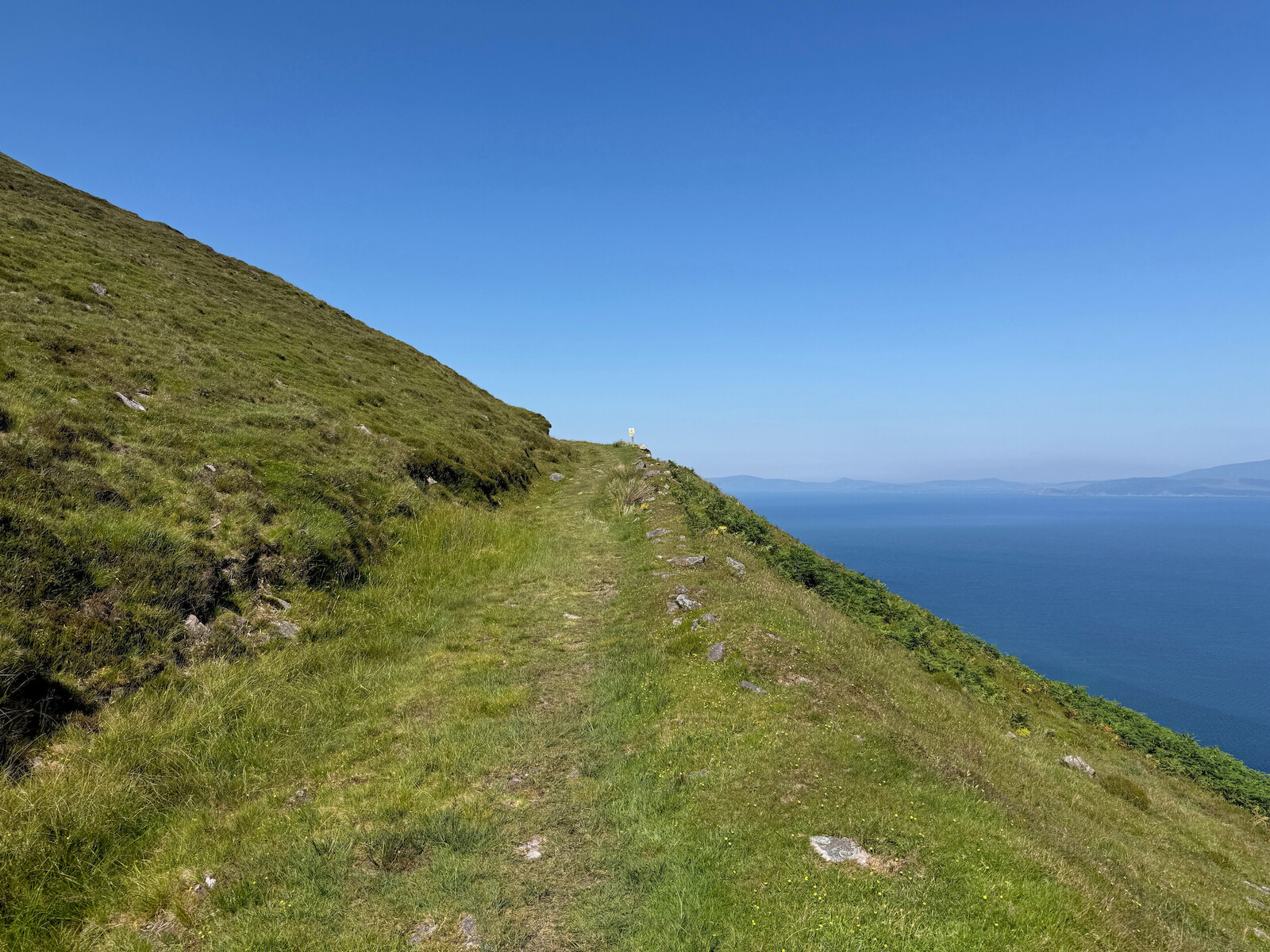 The hillside