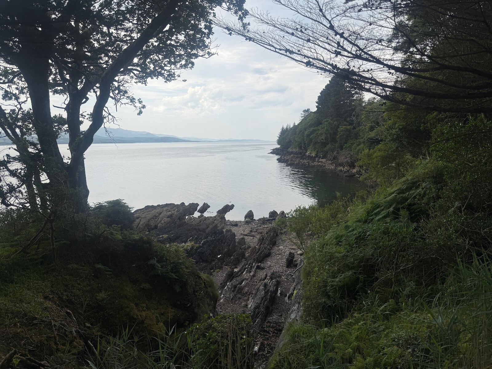 The coast