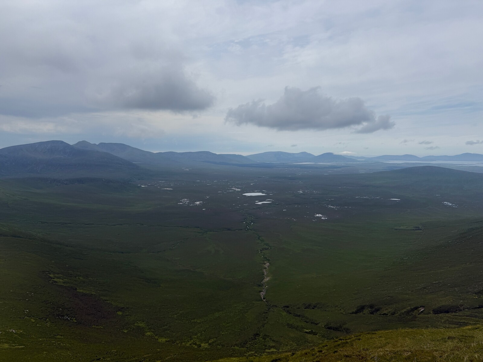 The bog